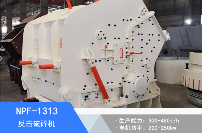 NPF-1313�W�淴������C